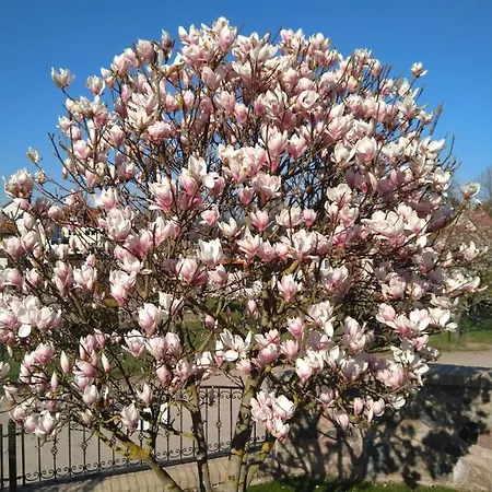 Apartment Familie Windt *