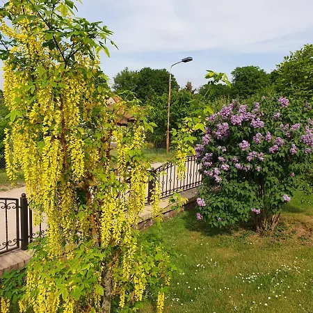 Familie Windt Apartment *