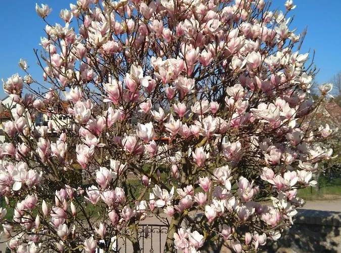 Διαμέρισμα Familie Windt *