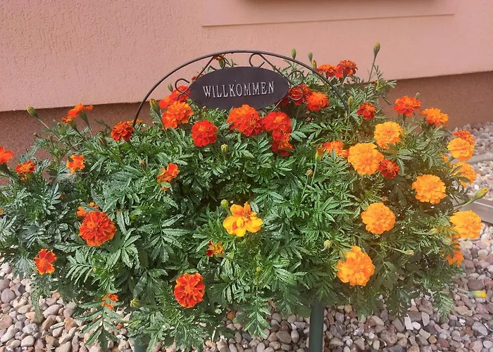 Familie Windt Διαμέρισμα